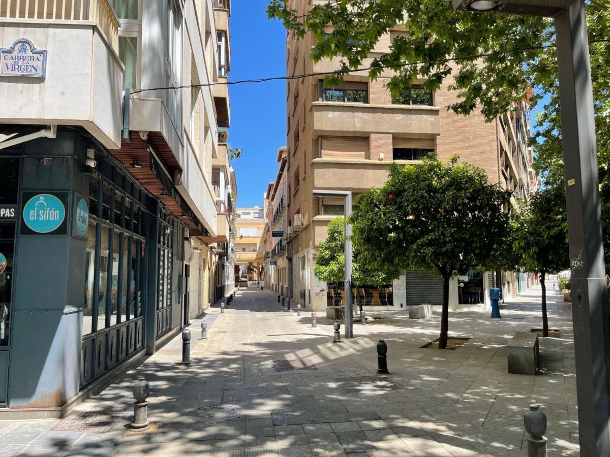 Апартаменты Vivienda Turistica Paseo Del Salon Гранада Экстерьер фото
