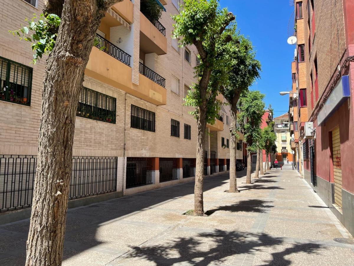 Апартаменты Vivienda Turistica Paseo Del Salon Гранада Экстерьер фото